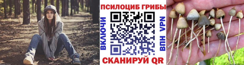 Псилоцибиновые грибы MAGIC MUSHROOMS  наркотики  Октябрьский 